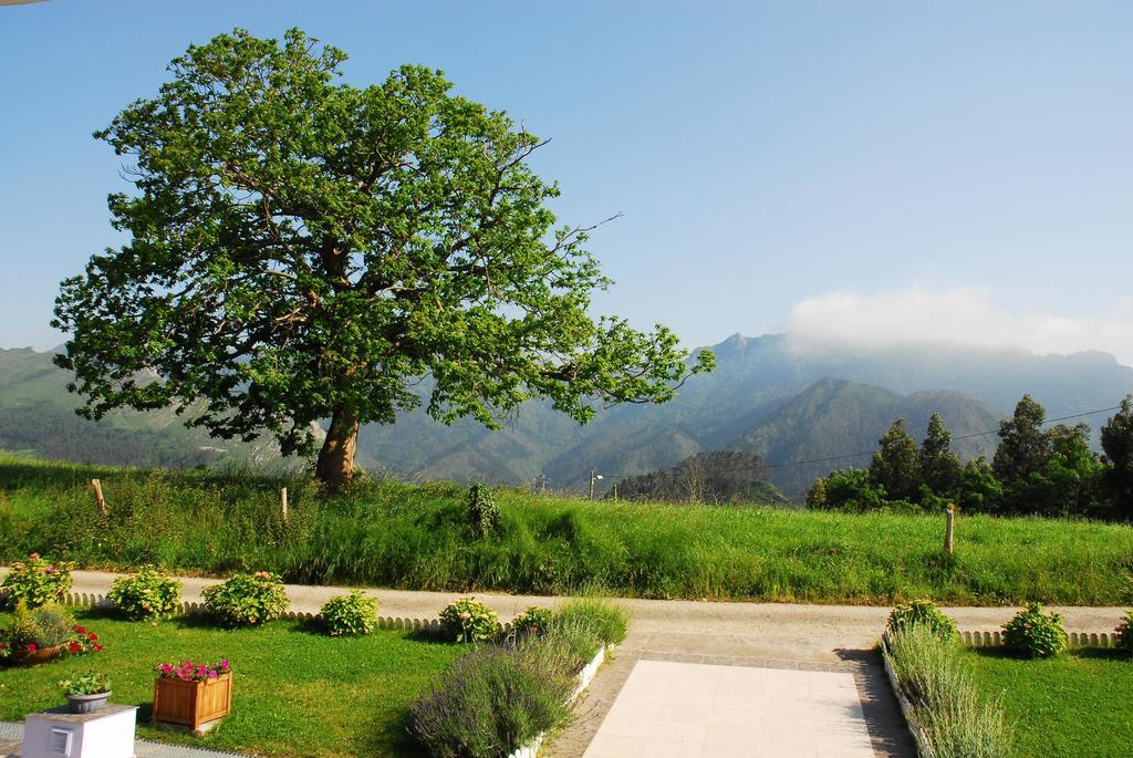 Hotel Mirador Del Sella 리바데세야 외부 사진